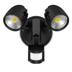 Condor twin spot with sensor
