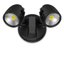 Condor twin spot light