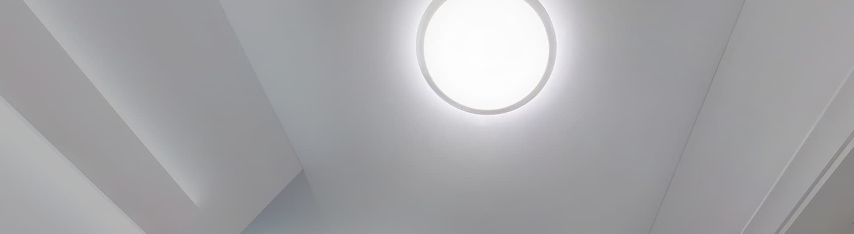 Ceiling oyster light